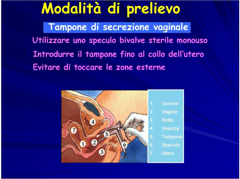 al collo dell utero Evitare di toccare le zone esterne 1.