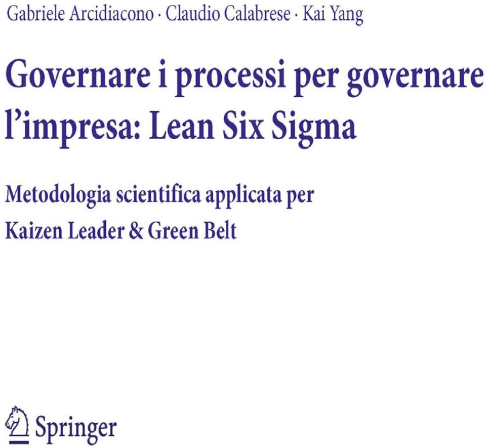 l'impresa: Lean Six Sigma Metodologia