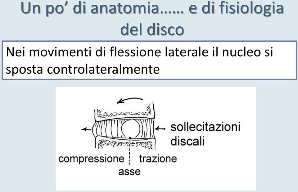 movimenti di flessione