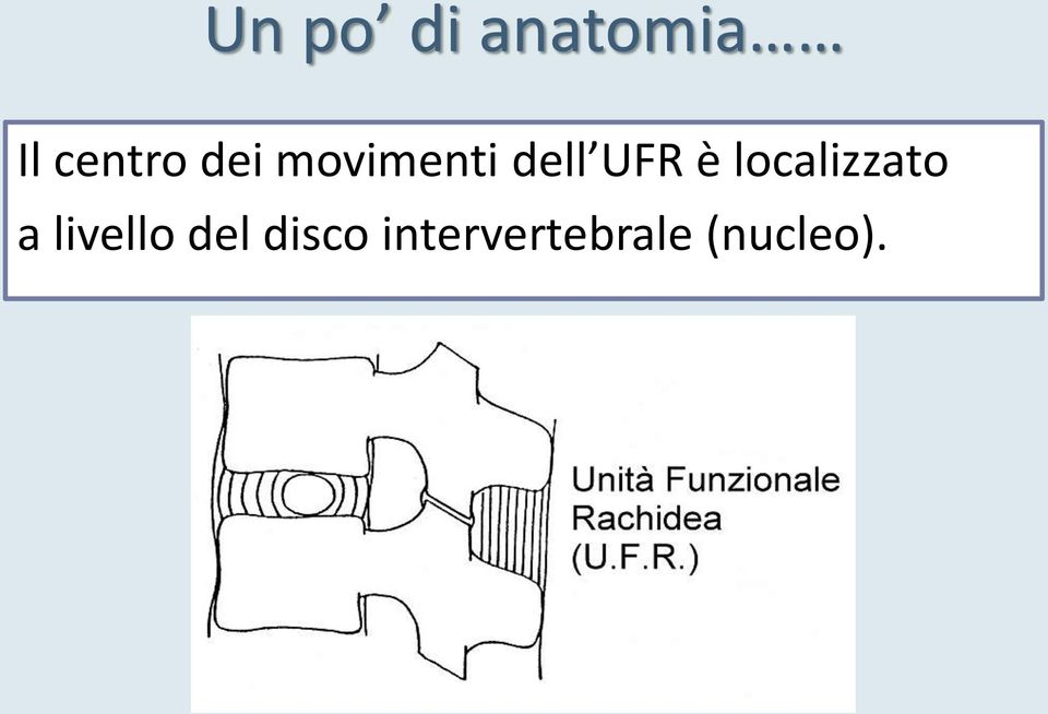 localizzato a livello del