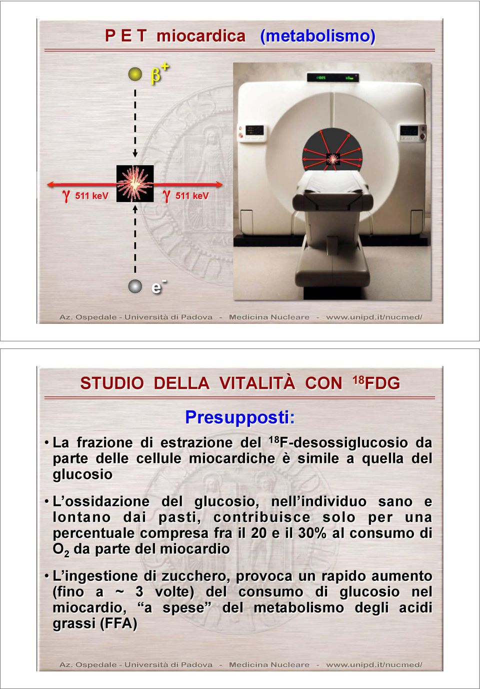 lontano dai pasti, contribuisce solo per una percentuale compresa fra il 20 e il 30% al consumo di O 2 da parte del miocardio L ingestione