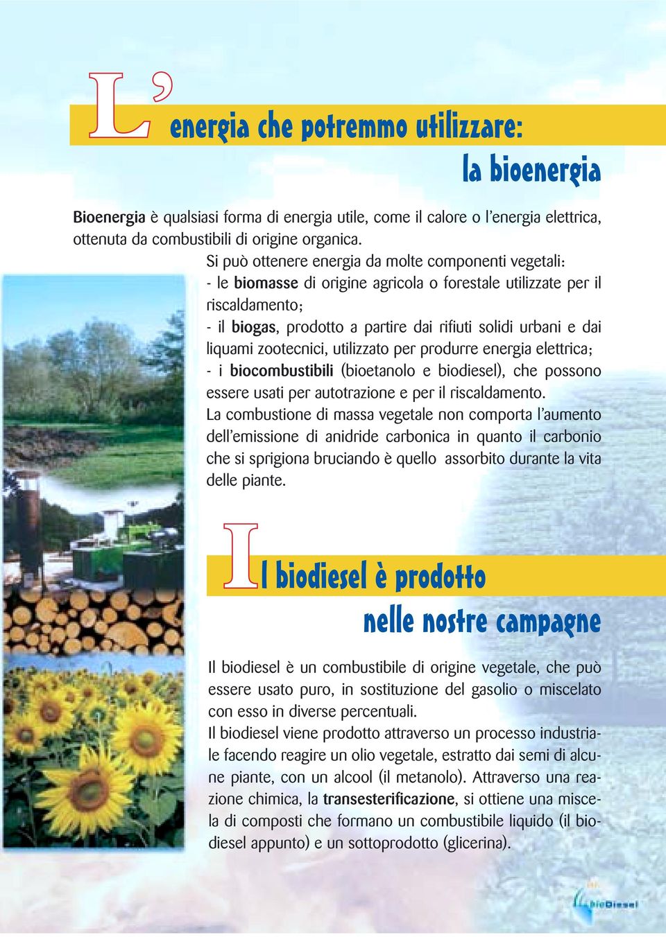 liquami zootecnici, utilizzato per produrre energia elettrica; - i biocombustibili (bioetanolo e biodiesel), che possono essere usati per autotrazione e per il riscaldamento.