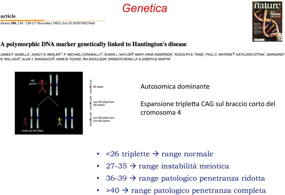 27-35 à range instabilità meiotica 36-39 à range patologico