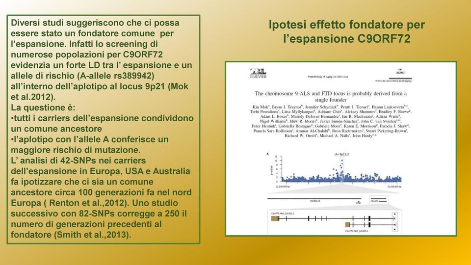 La questione è: tutti i carriers dell espansione condividono un comune ancestore l aplotipo con l allele A conferisce un maggiore rischio di mutazione.