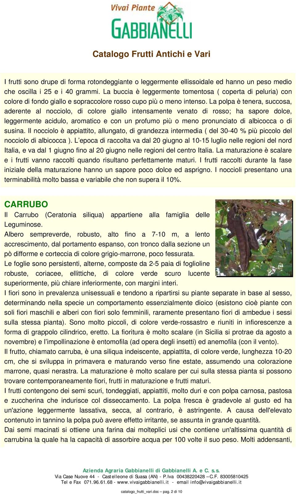 La polpa è tenera, succosa, aderente al nocciolo, di colore giallo intensamente venato di rosso; ha sapore dolce, leggermente acidulo, aromatico e con un profumo più o meno pronunciato di albicocca o