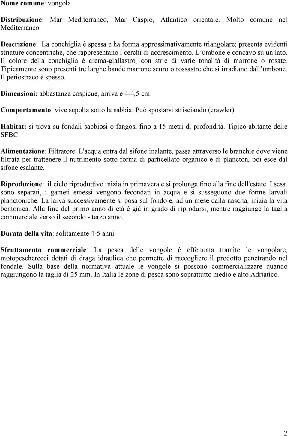 Il colore della conchiglia è crema-giallastro, con strie di varie tonalità di marrone o rosate. Tipicamente sono presenti tre larghe bande marrone scuro o rossastre che si irradiano dall umbone.