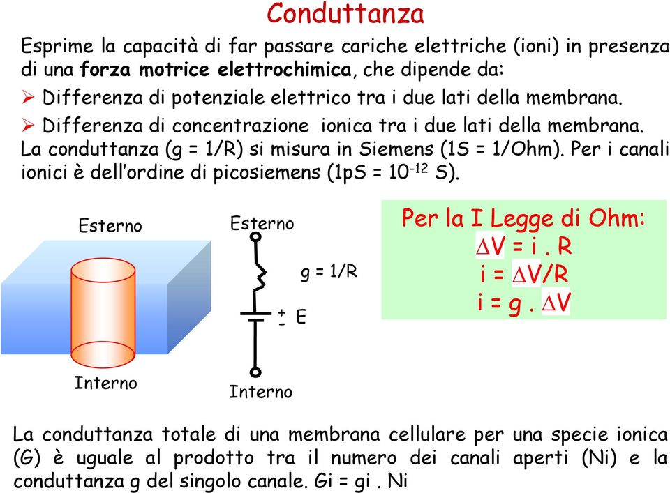 Per i canali ionici è dell ordine di picosiemens (1pS = 10-12 S). Esterno Esterno + - E g = 1/R Per la I Legge di Ohm: V = i. R i = V/R i = g.