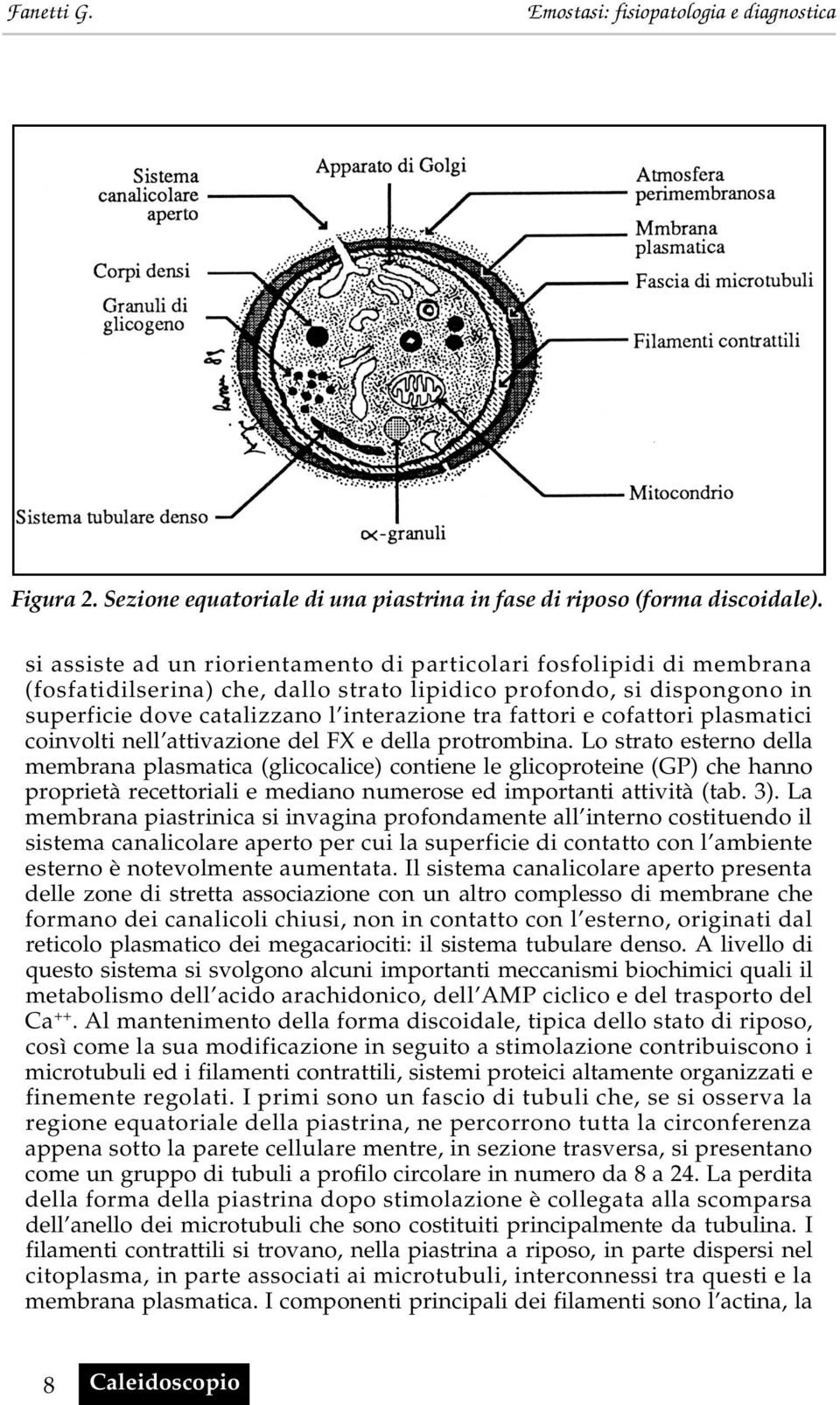 cofattori plasmatici coinvolti nell attivazione del FX e della protrombina.