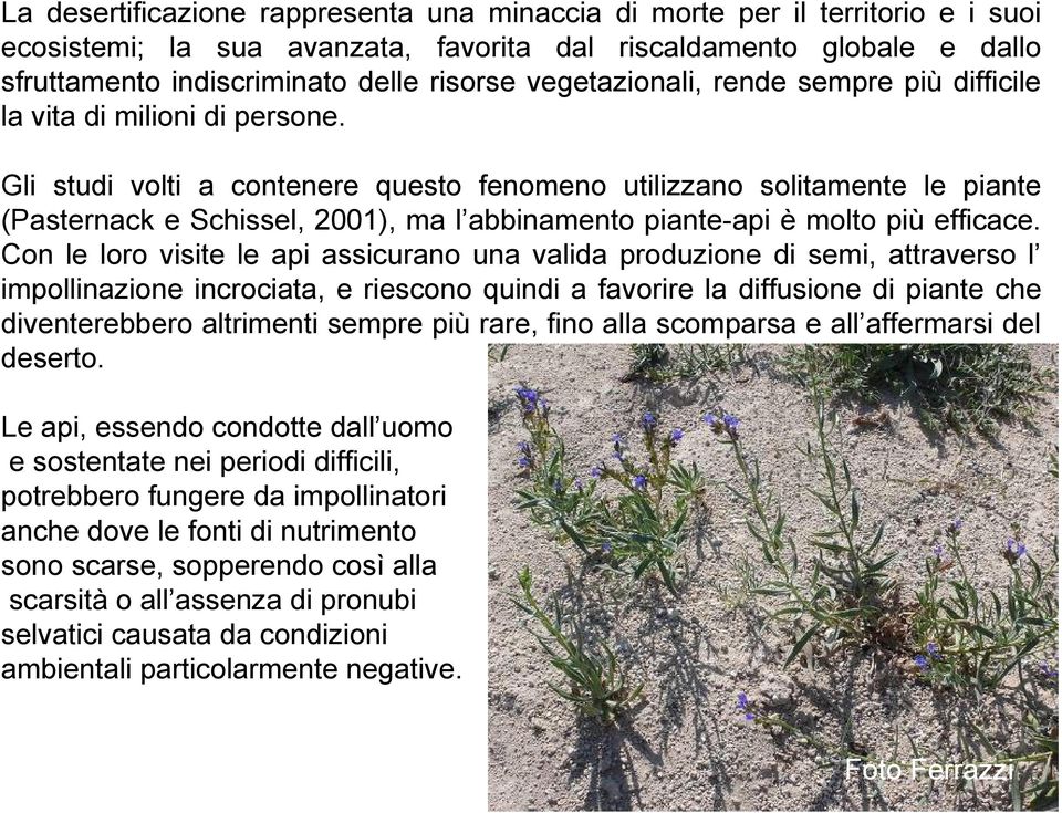 Gli studi volti a contenere questo fenomeno utilizzano solitamente le piante (Pasternack e Schissel, 2001), ma l abbinamento piante-api è molto più efficace.