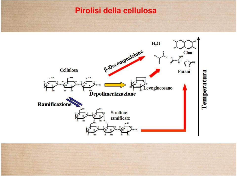 cellulosa