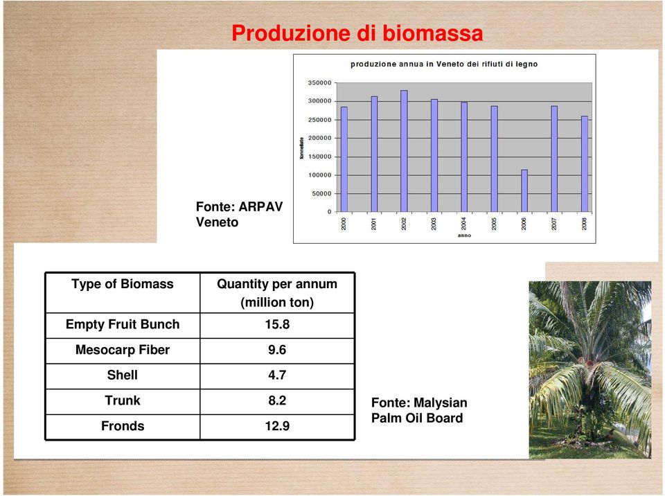 Empty Fruit Bunch 15.8 Mesocarp Fiber 9.