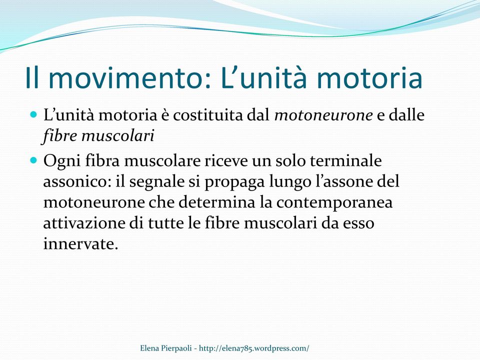 assonico: il segnale si propaga lungo l assone del motoneurone che