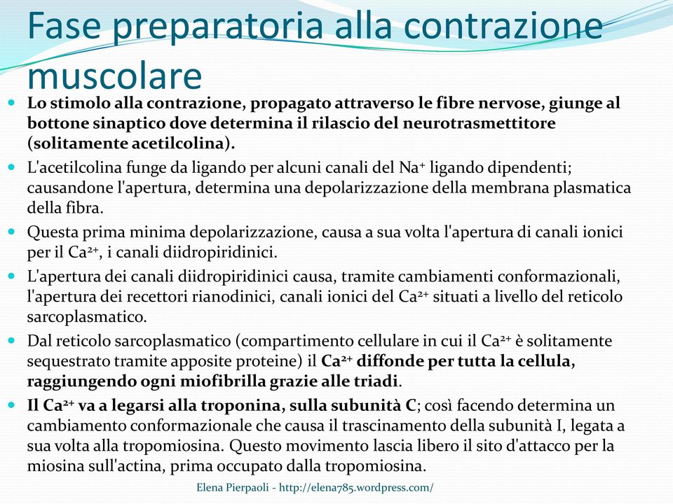 Questa prima minima depolarizzazione, causa a sua volta l'apertura di canali ionici per il Ca 2+, i canali diidropiridinici.