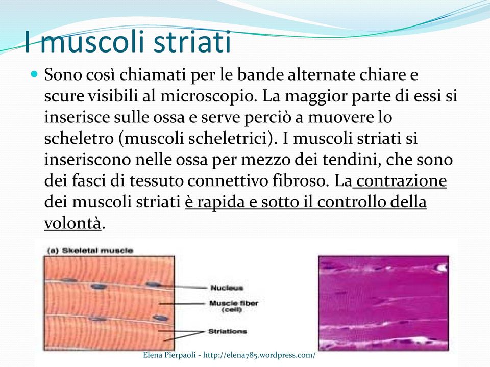 scheletrici).