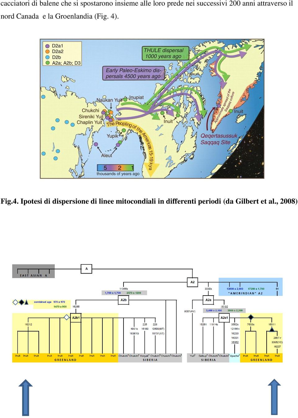 la Groenlandia (Fig. 4)