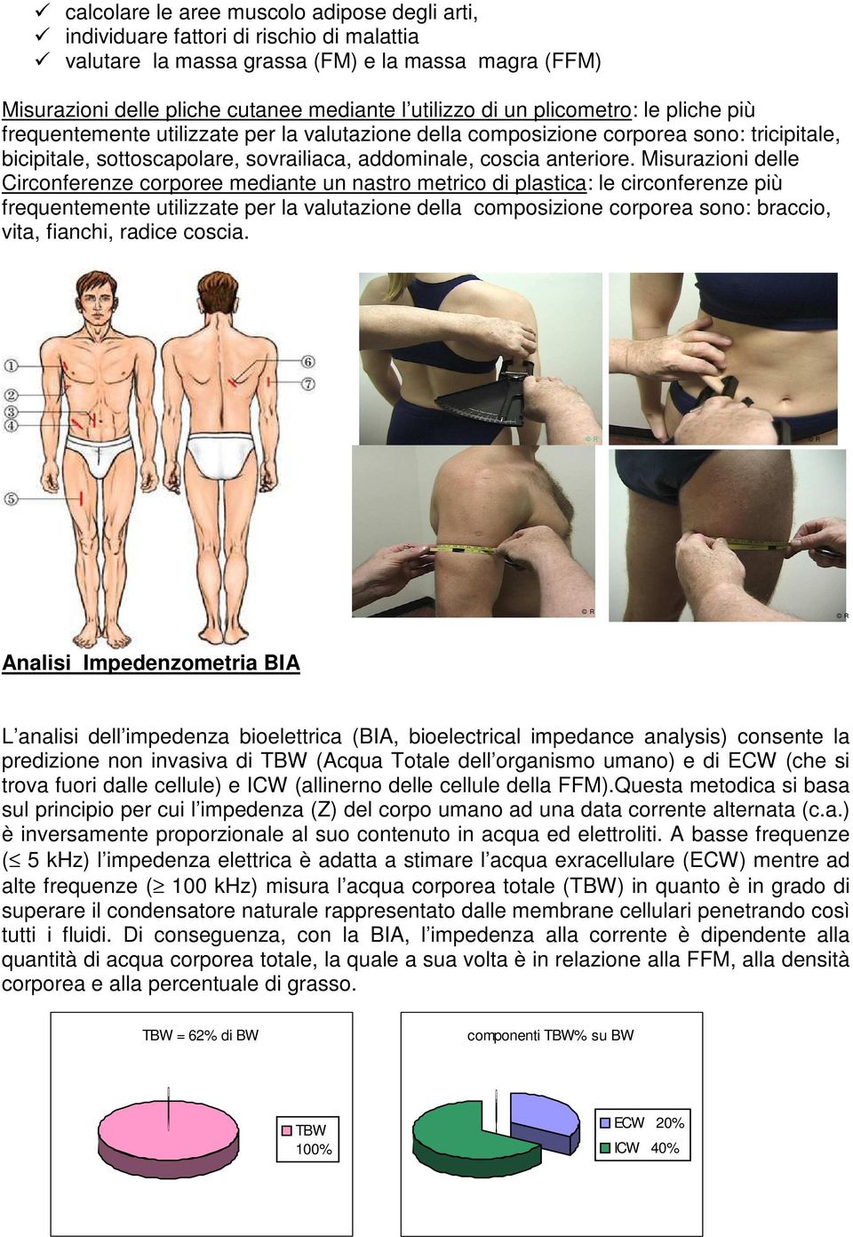 Misurazioni delle Circonferenze corporee mediante un nastro metrico di plastica: le circonferenze più frequentemente utilizzate per la valutazione della composizione corporea sono: braccio, vita,