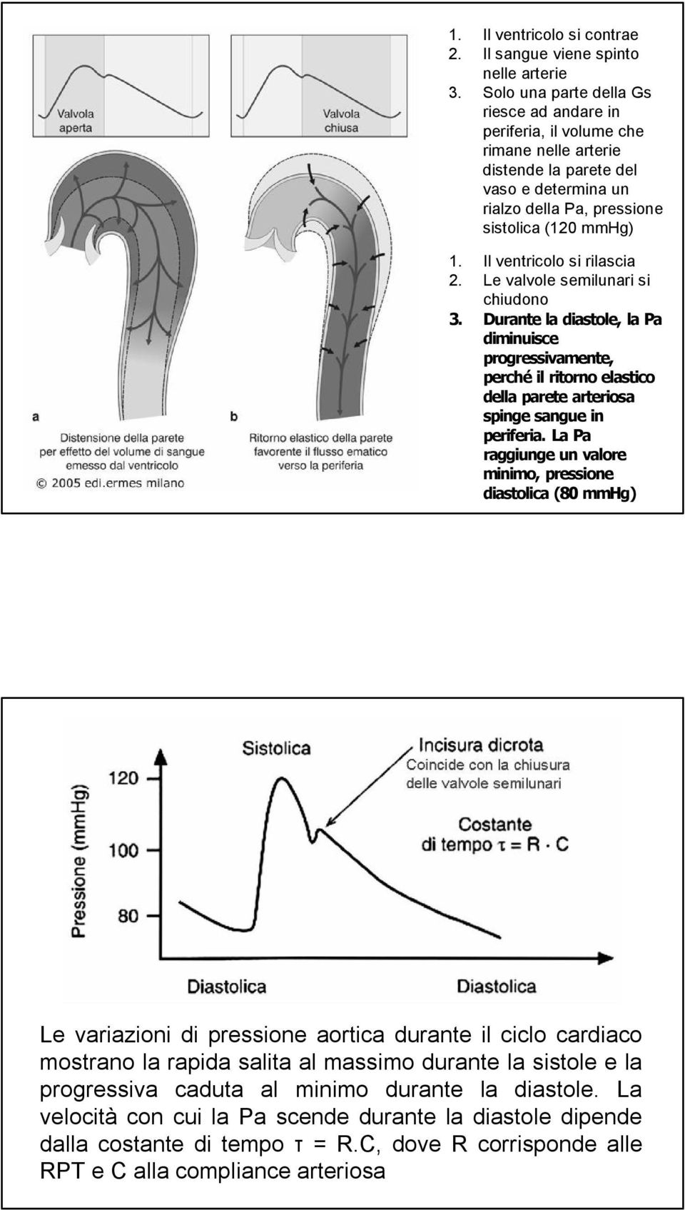 Il ventricolo si rilascia 2. Le valvole semilunari si chiudono 3. Durante la diastole, la Pa diminuisce progressivamente, perché il ritorno elastico della parete arteriosa spinge sangue in periferia.