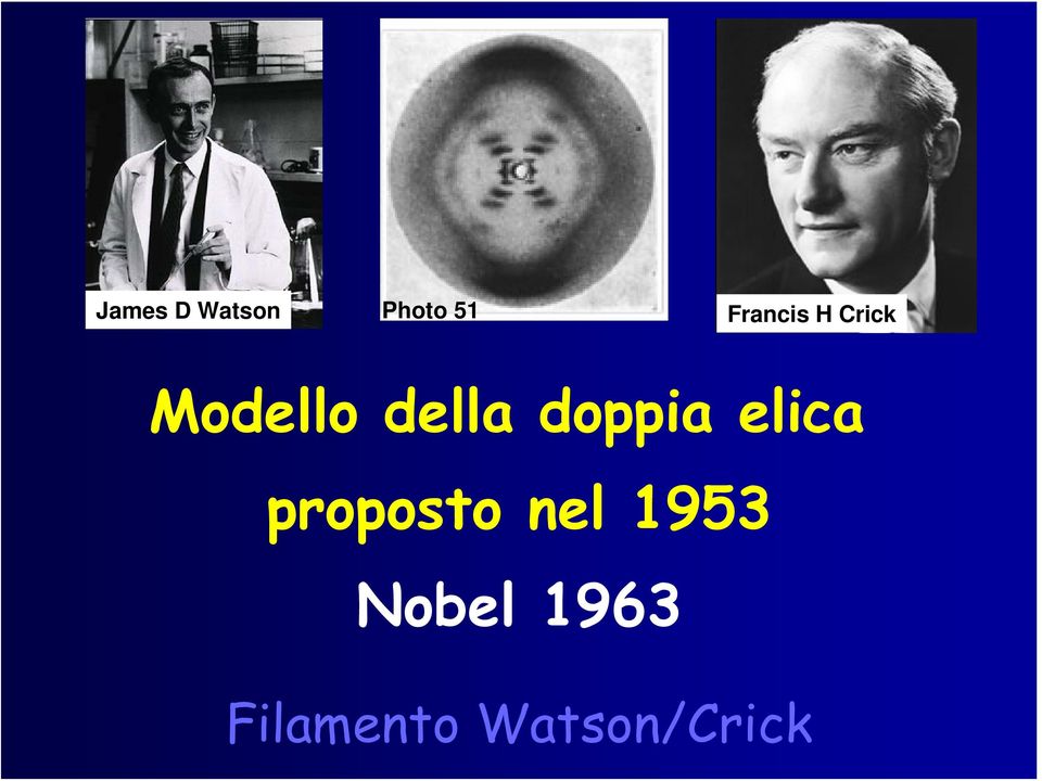 doppia elica proposto nel