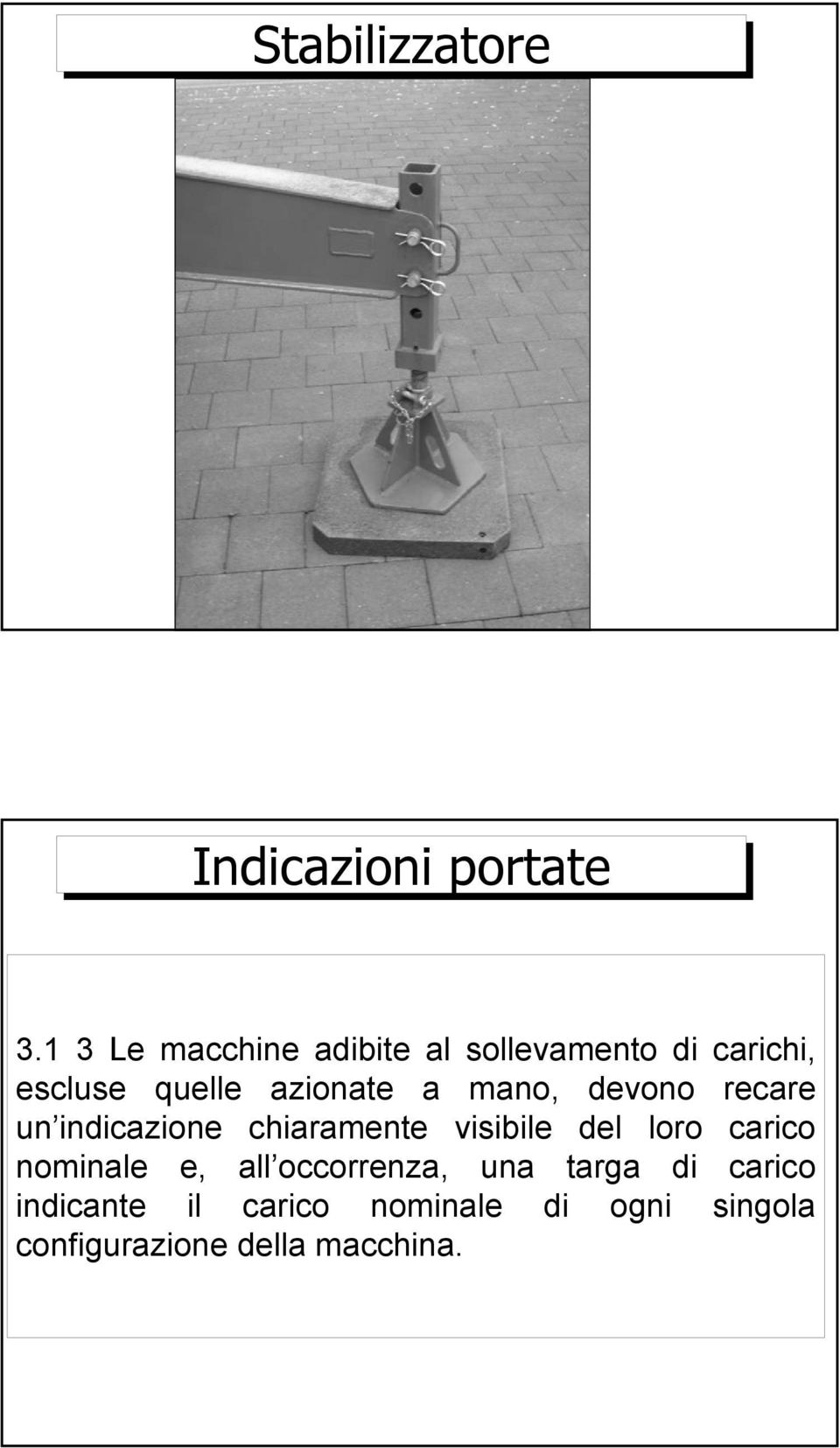 mano, devono recare un indicazione chiaramente visibile del loro carico