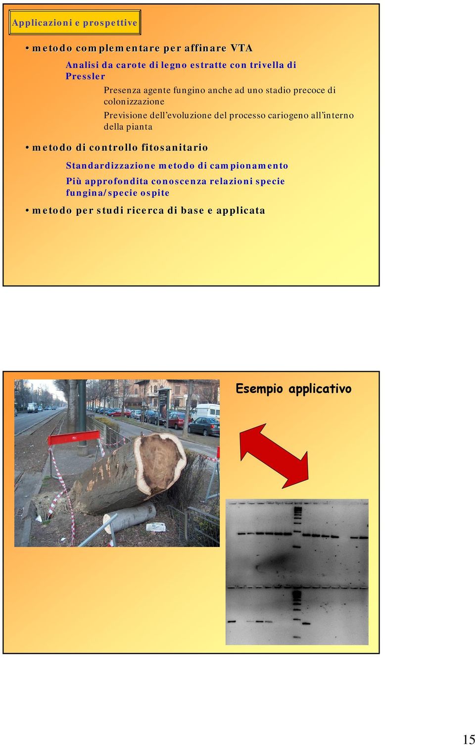 metodo di controllo fitosanitario Standardizzazione metodo di campionamento Più approfondita conoscenza relazioni specie fungina/specie