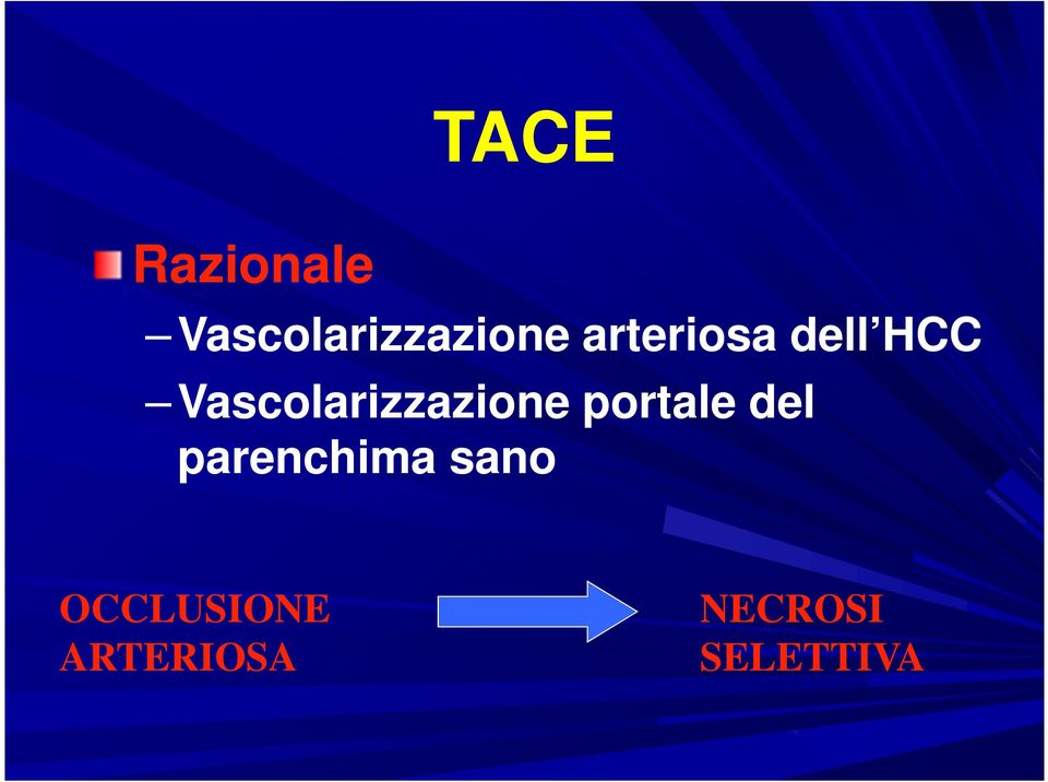 Vascolarizzazione portale del