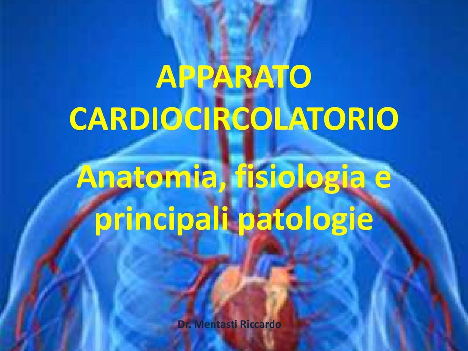 Anatomia, fisiologia e