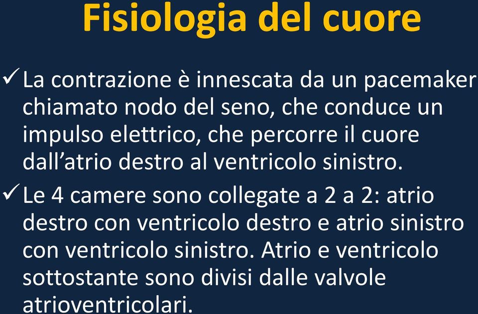 Le 4 camere sono collegate a 2 a 2: atrio destro con ventricolo destro e atrio sinistro con