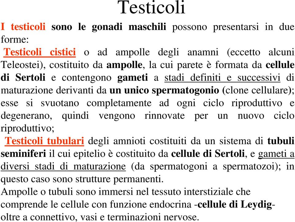 e degenerano, quindi vengono rinnovate per un nuovo ciclo riproduttivo; Testicoli tubulari degli amnioti costituiti da un sistema di tubuli seminiferi il cui epitelio è costituito da cellule di