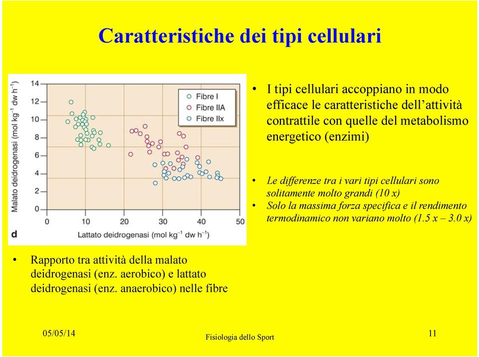 grandi (10 x) Solo la massima forza specifica e il rendimento termodinamico non variano molto (1.5 x 3.