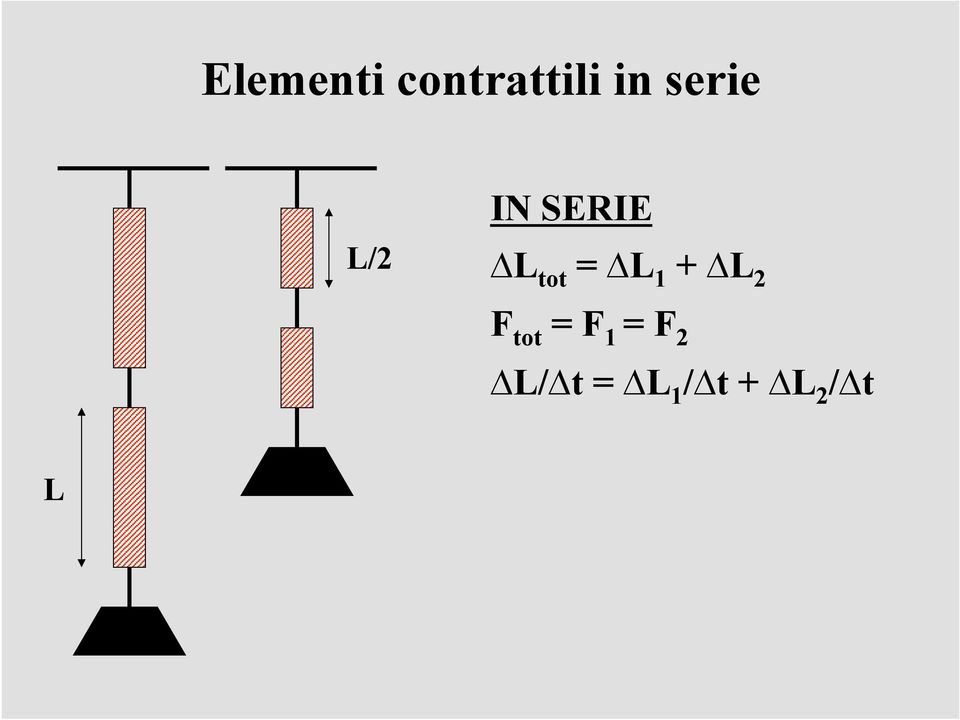 L 1 + L 2 F tot = F 1 = F