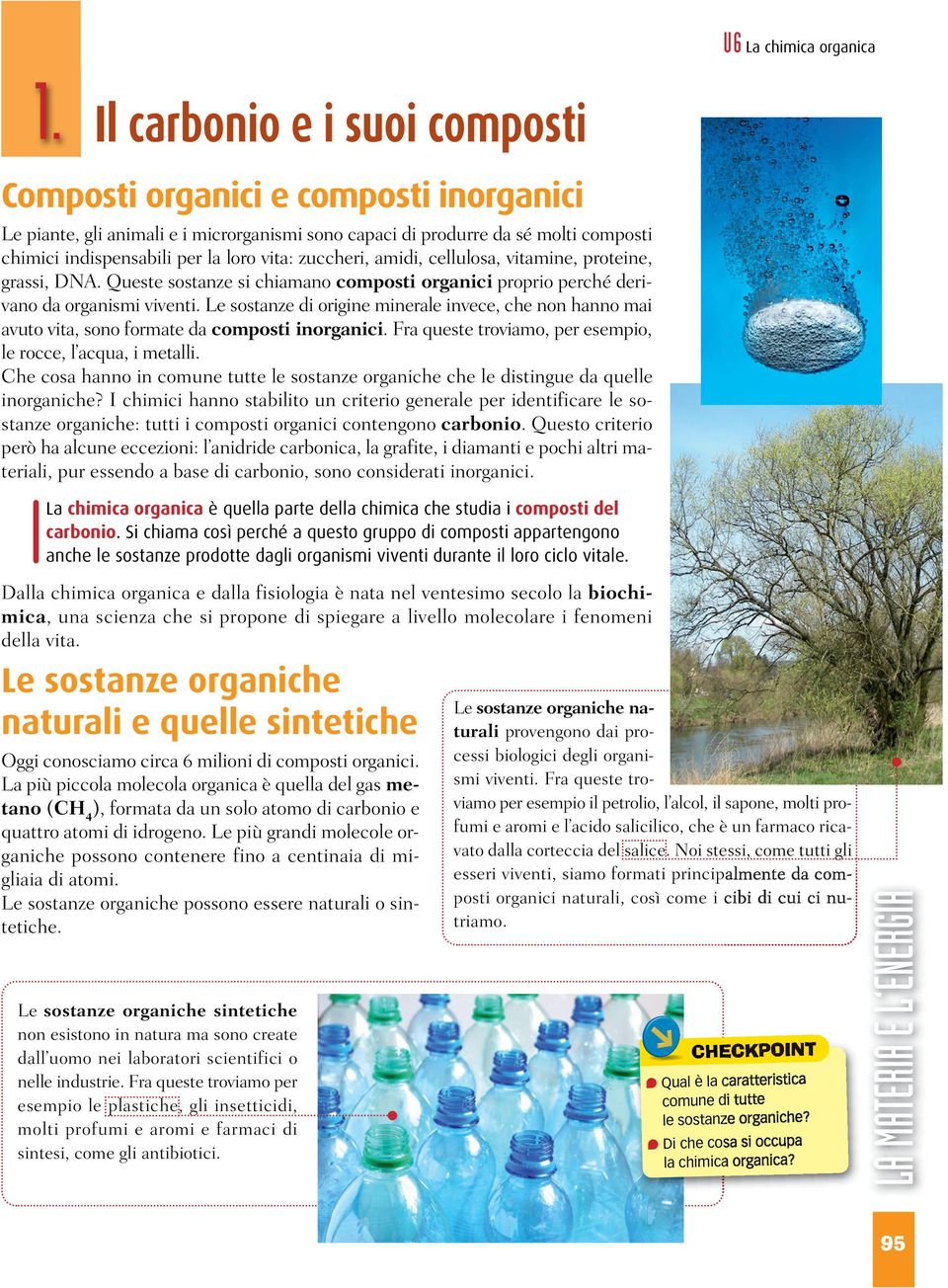 zuccheri, amidi, cellulosa, vitamine, proteine, grassi, DNA. Queste sostanze si chiamano composti organici proprio perché derivano da organismi viventi.