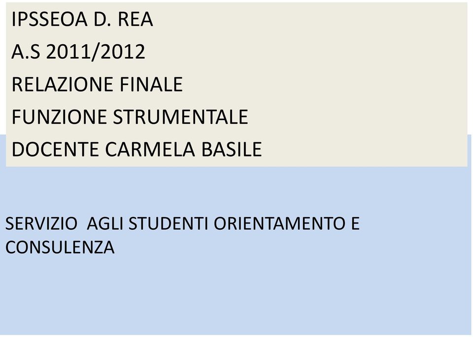 FUNZIONE STRUMENTALE DOCENTE