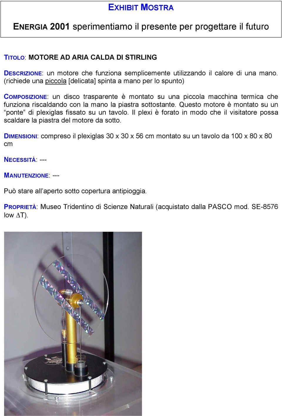 la piastra sottostante. Questo motore è montato su un ponte di plexiglas fissato su un tavolo.