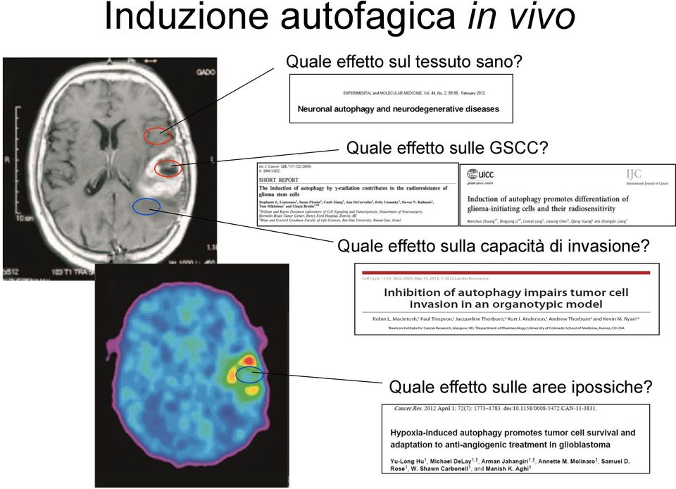 Quale effetto sulle GSCC?