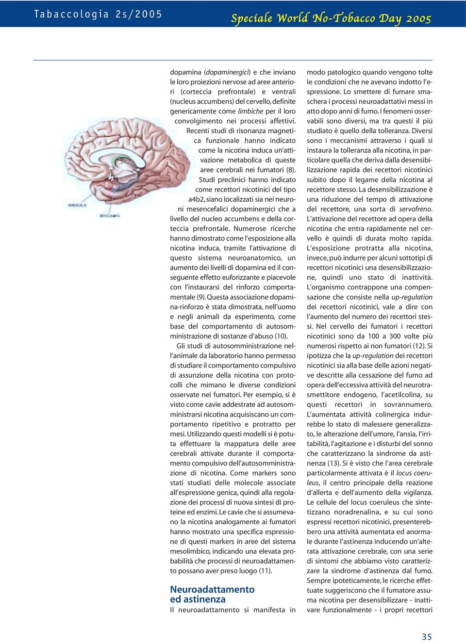 Studi preclinici hanno indicato come recettori nicotinici del tipo a4b2, siano localizzati sia nei neuroni mesencefalici dopaminergici che a livello del nucleo accumbens e della corteccia prefrontale.