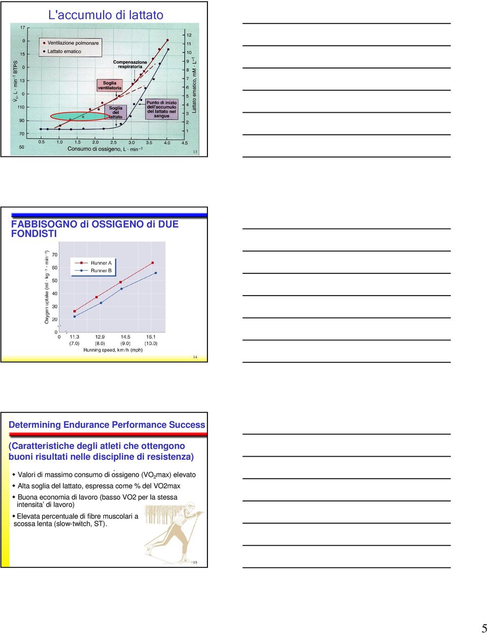 consumo di ossigeno (VO 2 max) elevato Alta soglia del lattato, espressa come % del VO2max Buona economia di lavoro