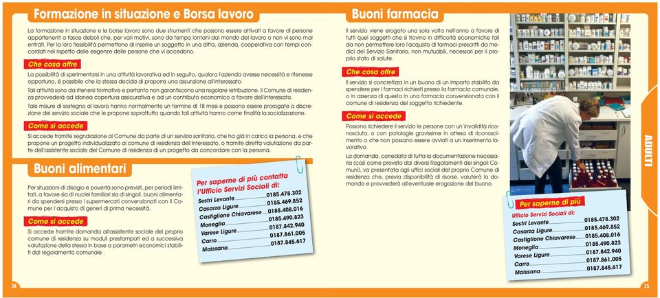 Per la loro flessibilità permettono di inserire un soggetto in una ditta, azienda, cooperativa con tempi concordati nel rispetto delle esigenze delle persone che vi accedono.