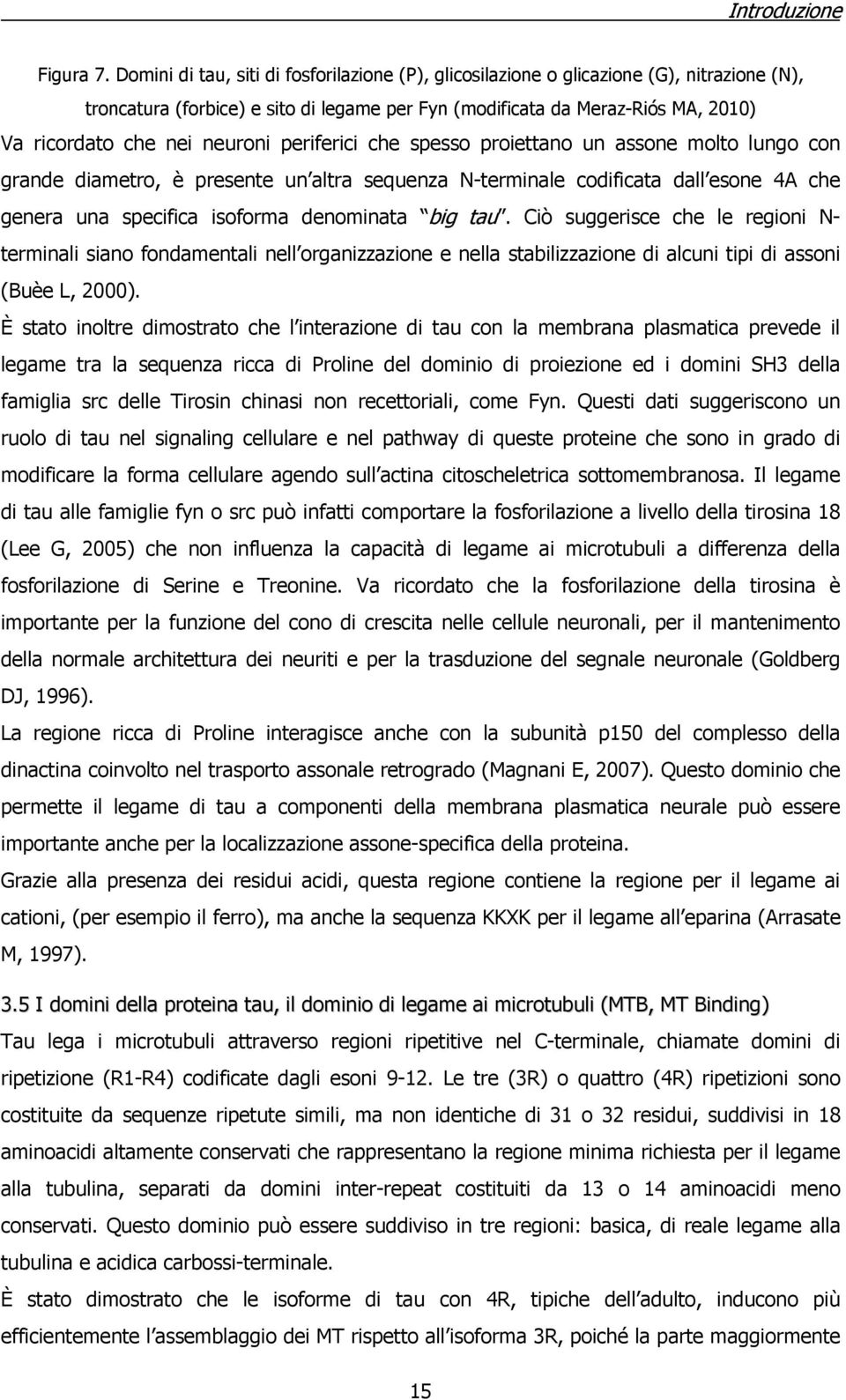 neuroni periferici che spesso proiettano un assone molto lungo con grande diametro, è presente un altra sequenza N-terminale codificata dall esone 4A che genera una specifica isoforma denominata big