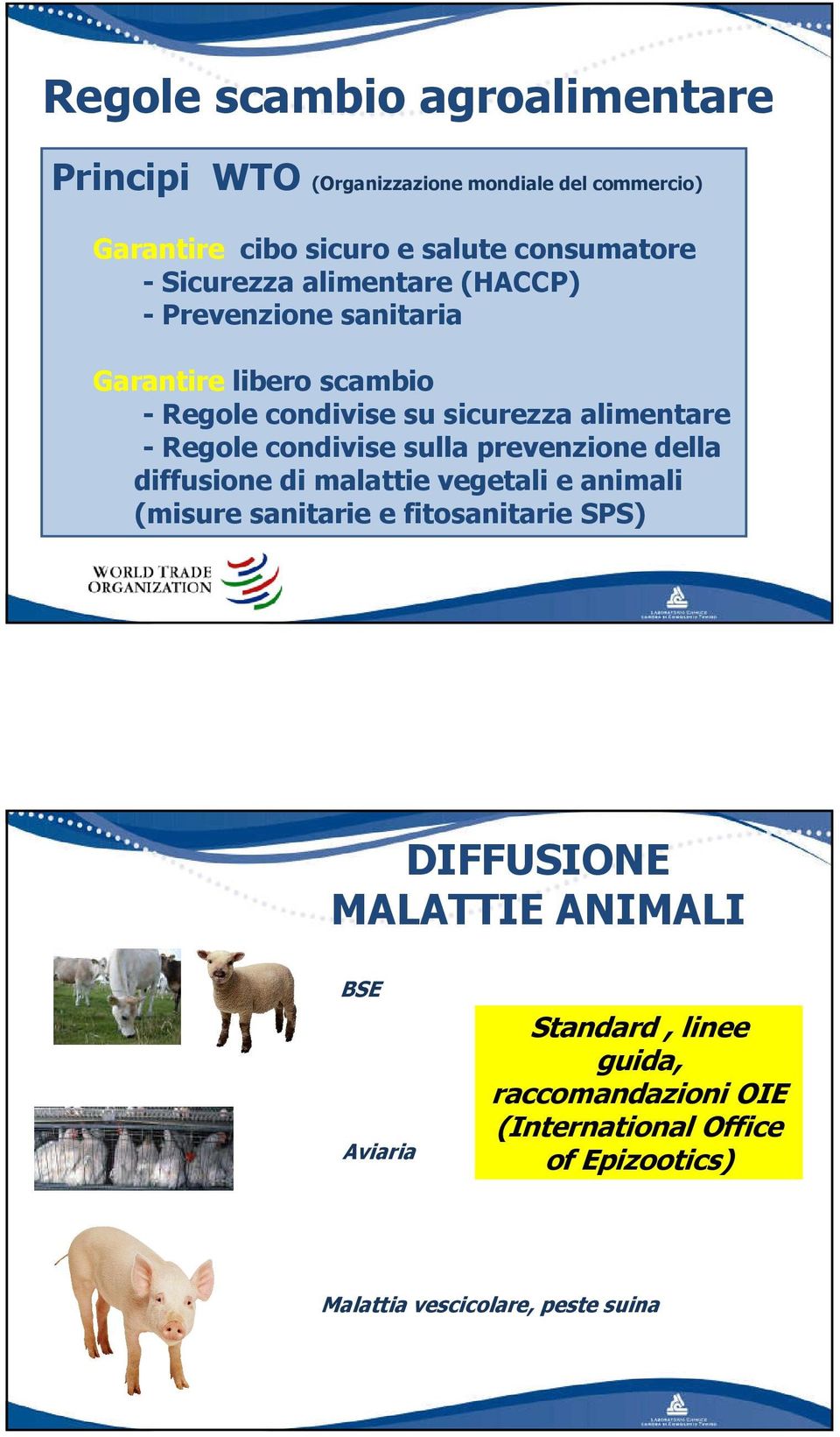 alimentare - Regole condivise sulla prevenzione della diffusione di malattie vegetali e animali (misure sanitarie e fitosanitarie SPS)