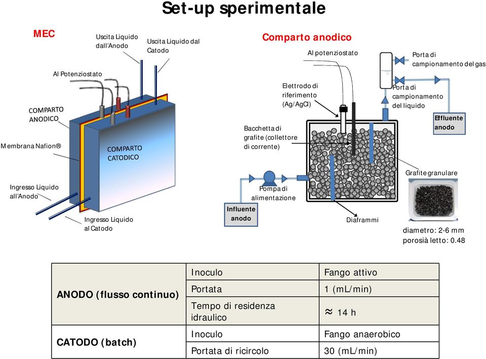 granulare Ingresso Liquido all Anodo Pompa di alimentazione Ingresso Liquido al Catodo Influente anodo Diaframmi diametro: 2-6 mm porosià letto: 0.