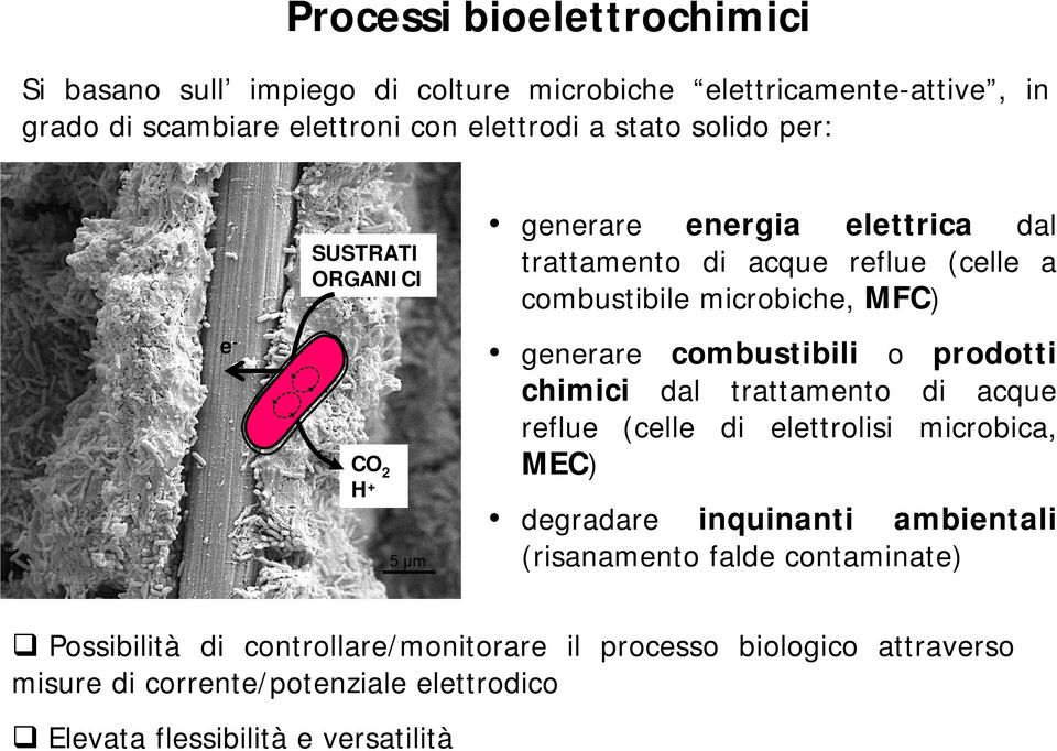 combustibili o prodotti chimici dal trattamento di acque reflue (celle di elettrolisi microbica, MEC) degradare inquinanti ambientali (risanamento falde