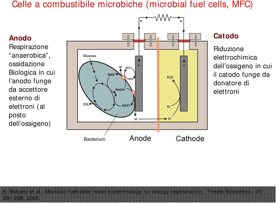 Riduzione elettrochimica dell ossigeno in cui il catodo funge da donatore di elettroni K. Rabaey et al.