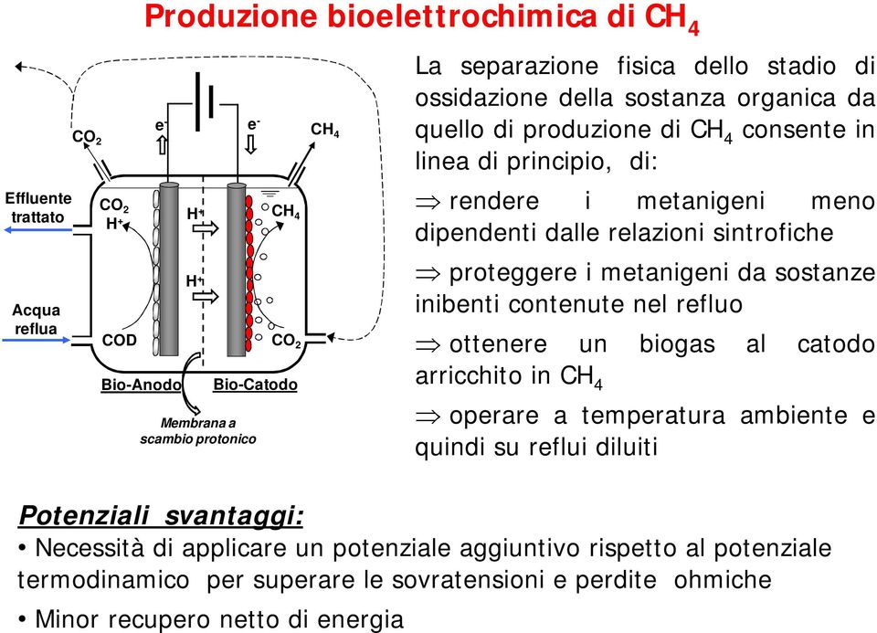 sintrofiche proteggere i metanigeni da sostanze inibenti contenute nel refluo ottenere un biogas al catodo arricchito in CH 4 operare a temperatura ambiente e quindi su reflui diluiti