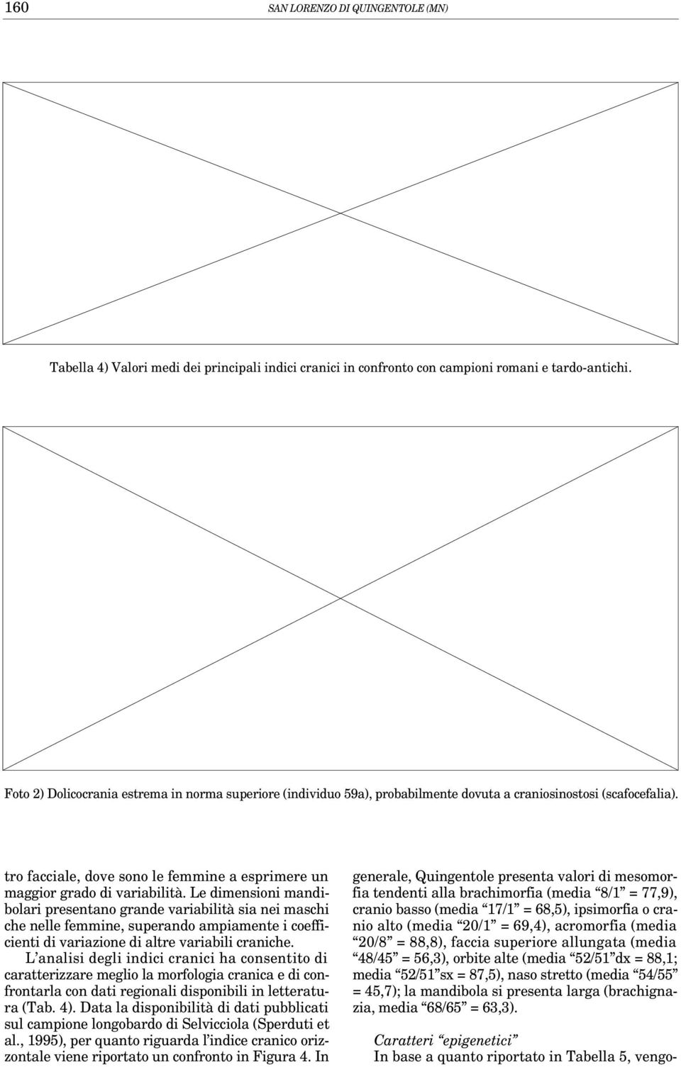 Le dimensioni mandibolari presentano grande variabilità sia nei maschi che nelle femmine, superando ampiamente i coefficienti di variazione di altre variabili craniche.