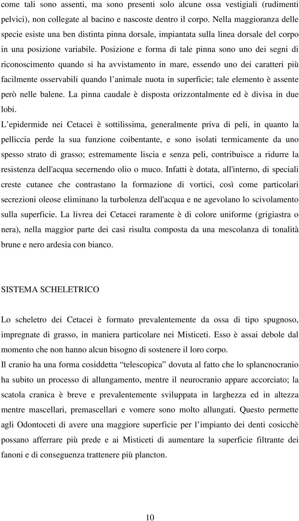 Posizione e forma di tale pinna sono uno dei segni di riconoscimento quando si ha avvistamento in mare, essendo uno dei caratteri più facilmente osservabili quando l animale nuota in superficie; tale