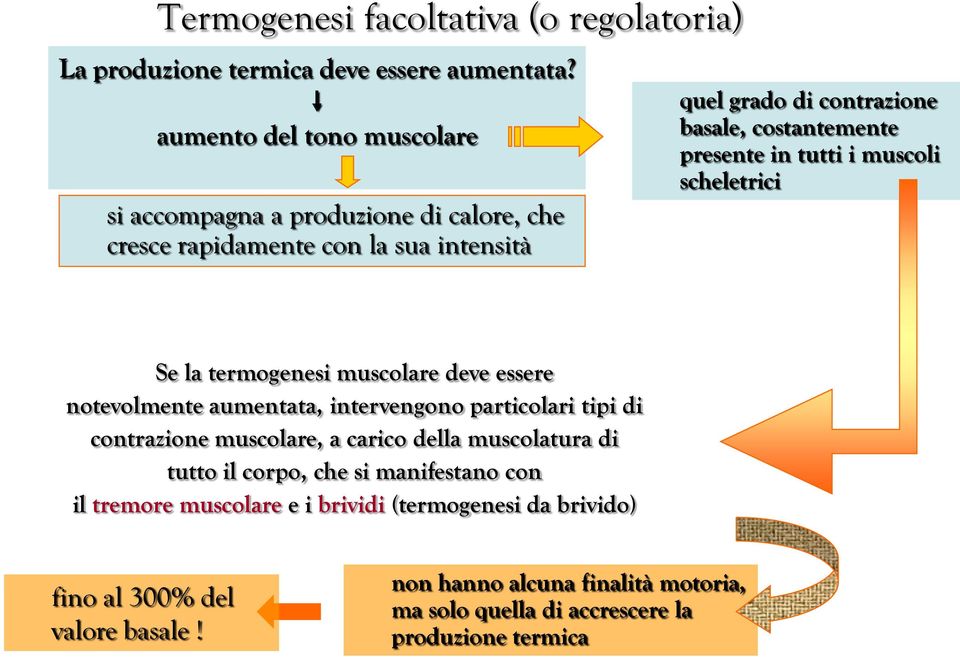 presente in tutti i muscoli scheletrici Se la termogenesi muscolare deve essere notevolmente aumentata, intervengono particolari tipi di contrazione muscolare, a