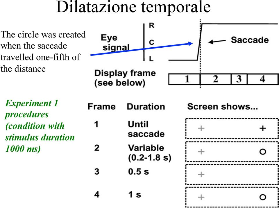 distance Experiment 1 procedures