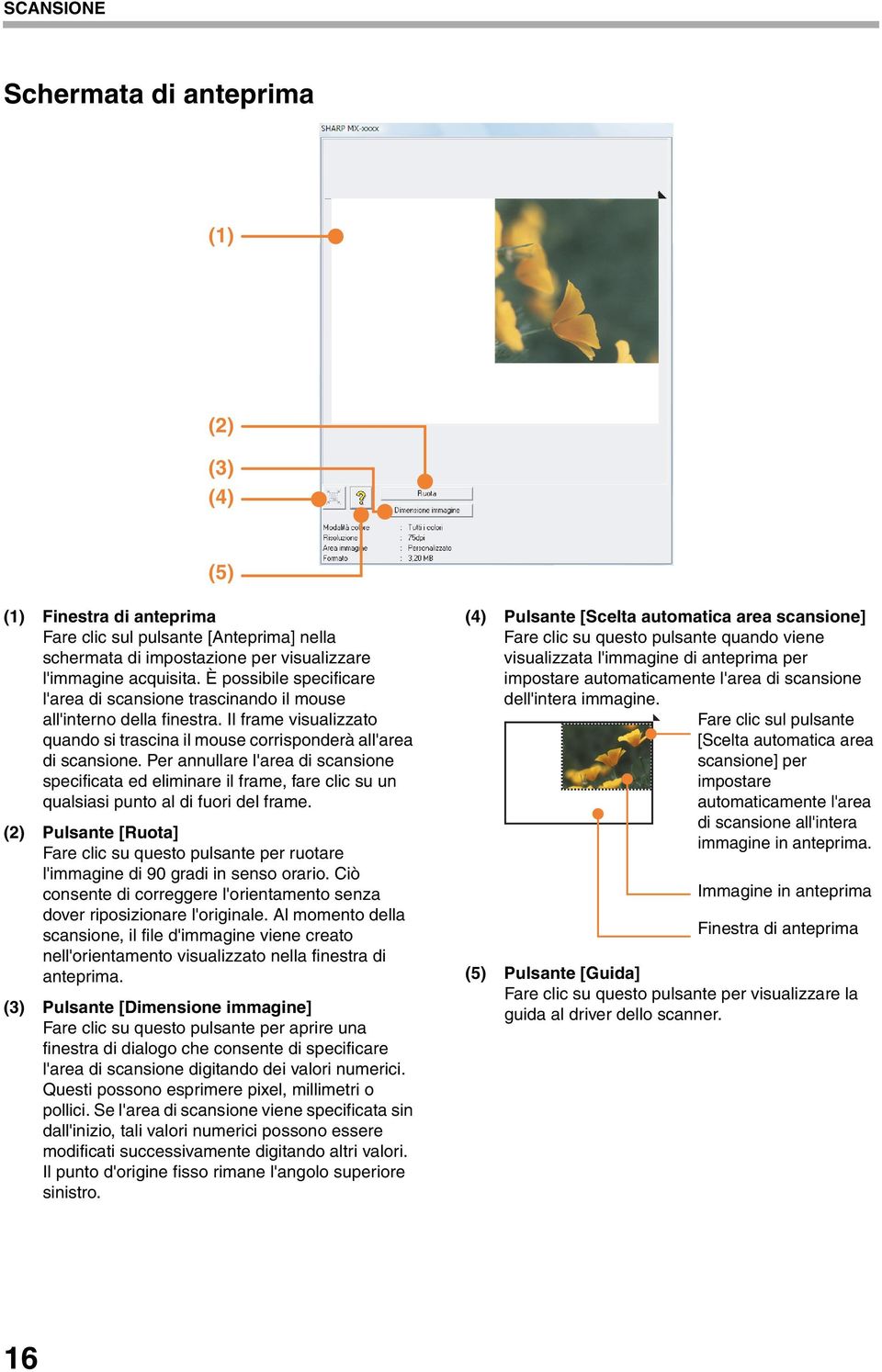 Per annullare l'area di scansione specificata ed eliminare il frame, fare clic su un qualsiasi punto al di fuori del frame.