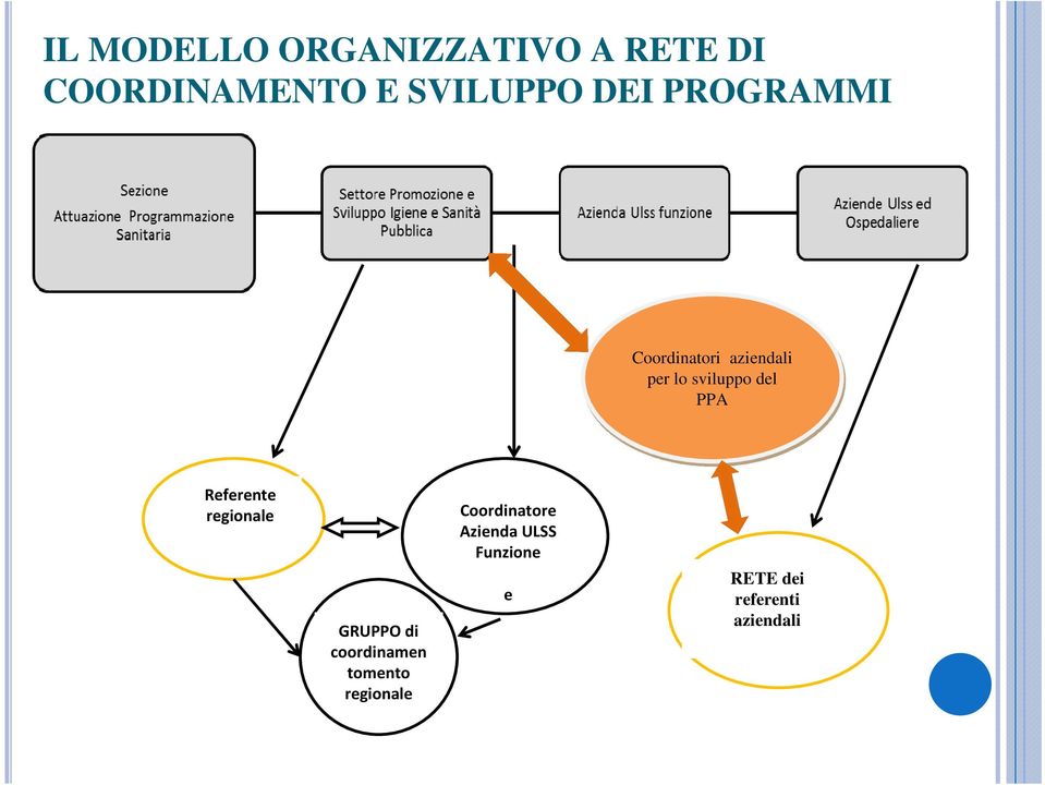 Referente regionale GRUPPO di coordinamen tomento regionale