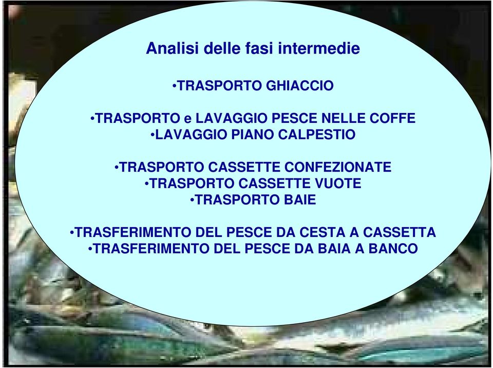 CASSETTE CONFEZIONATE TRASPORTO CASSETTE VUOTE TRASPORTO BAIE